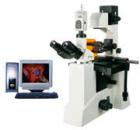 用途

550 系列熒光顯微鏡是由倒置顯微鏡和落射熒光裝置組成。配有長工作距離平場消色差物鏡、大視野目鏡、雙目觀察。倒置熒光顯微鏡還配有特長工作距離聚光鏡、同時配有相襯裝置及長工作距離平場相襯物鏡，具有在培養(yǎng)瓶或培養(yǎng)皿內(nèi)進(jìn)行顯微觀察的特點。倒置熒光顯微鏡可以觀察不經(jīng)染色的透明活體；落射熒光裝置適用于熒光顯微術(shù)。倒置熒光顯微鏡特別適用于對活體細(xì)胞和組織、流質(zhì)、沉淀物等進(jìn)行顯微研究，是生物學(xué)、細(xì)胞學(xué)、腫瘤學(xué)、遺傳學(xué)、免疫學(xué)等研究工作的理想儀器?？晒┛蒲小⒏咝?、醫(yī)療、防疫質(zhì)檢和農(nóng)牧等部門使用。
