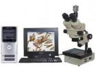 實體圖像顯微鏡或數(shù)碼攝影實體顯微鏡，配置了高清晰度的圖像傳感攝像機(jī) (或數(shù)碼相機(jī))，可以將顯微成像由計算機(jī)進(jìn)行處理、編輯、保存和輸出 (如打印等)或進(jìn)入多媒體系統(tǒng)及電子信箱。
